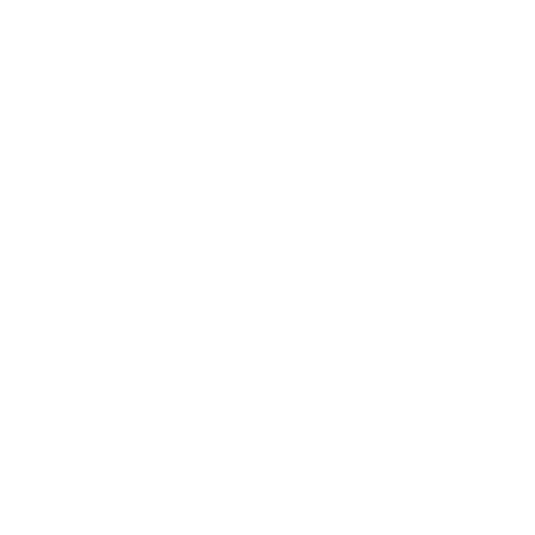 CMMI Maturity Level 5